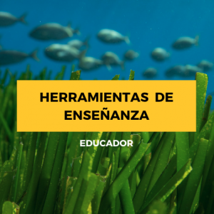 HERRAMIENTAS DE ENSEÑANZA | Learn & Protect