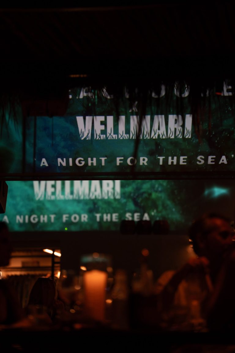 Pantallas con «Vellmarí · A Night for the Sea»