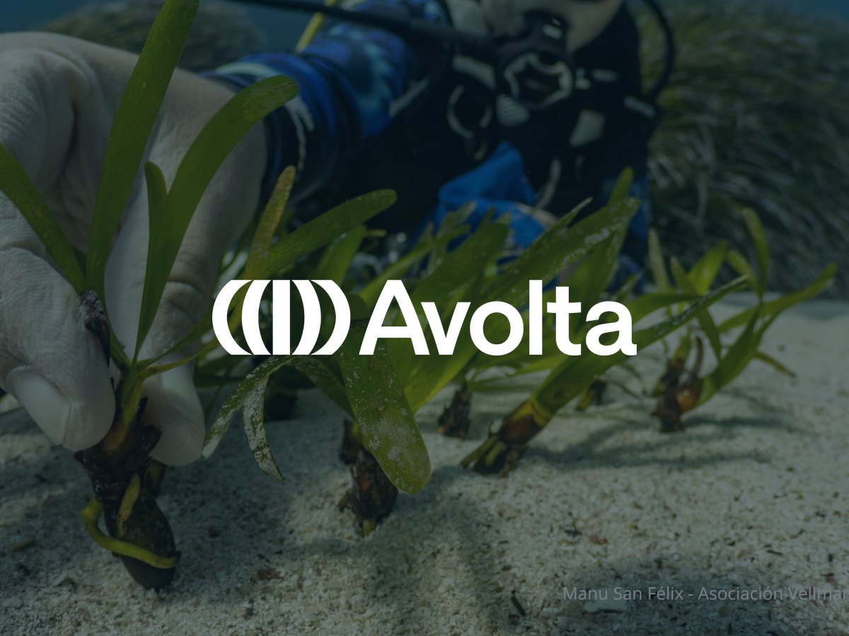 Avolta