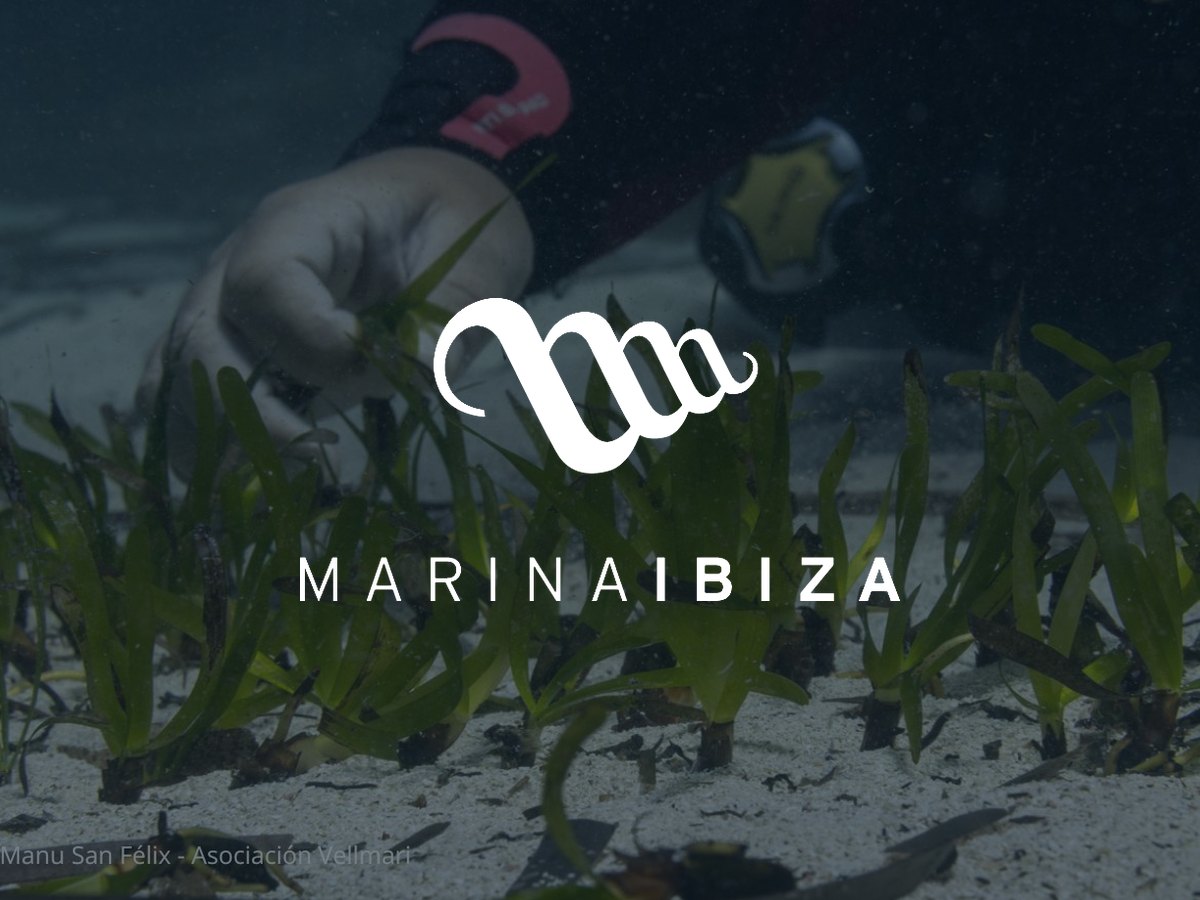 Marina Ibiza