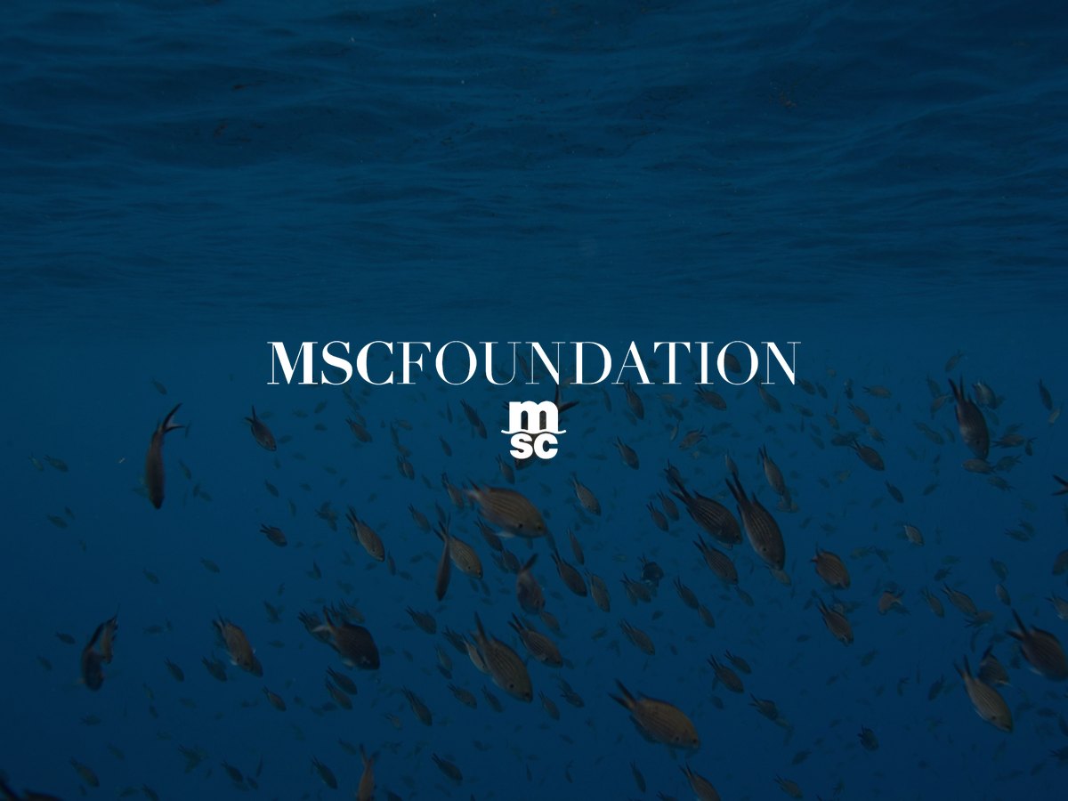 MSC Foundation